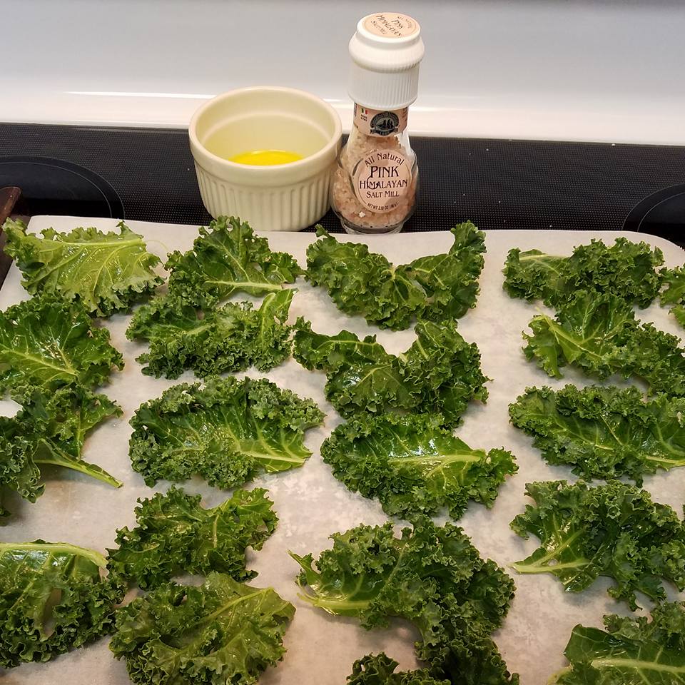 Kale Chips part biology on food.  https://www.wocdetox.com/biology-on-food.html